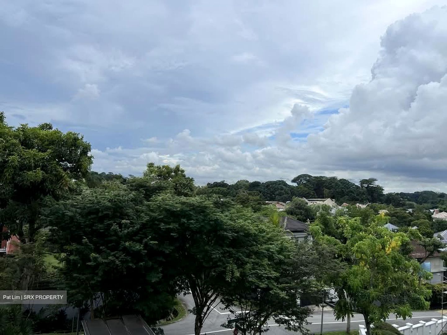 Raffles Park (D11), Detached #614546531